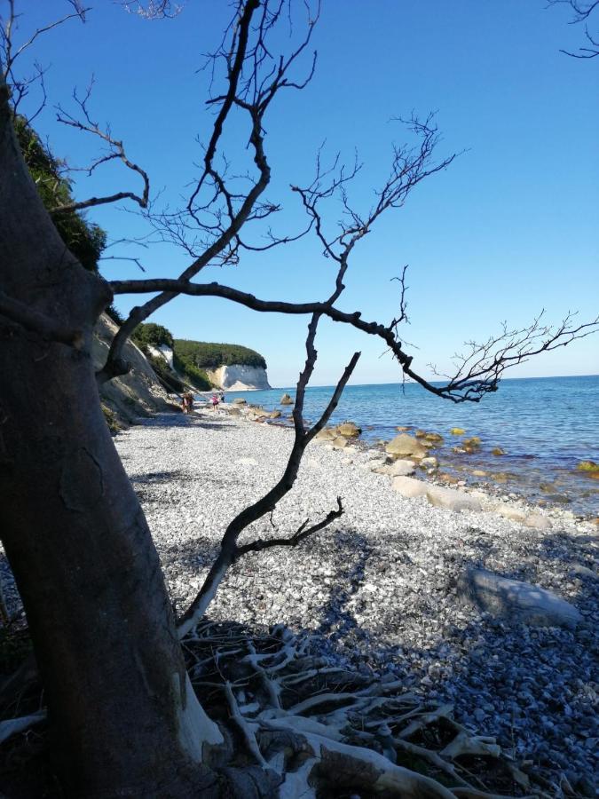 Ferienwohnung "Kranich" Im Ferien-Resort Ruegen Sagard Eksteriør billede